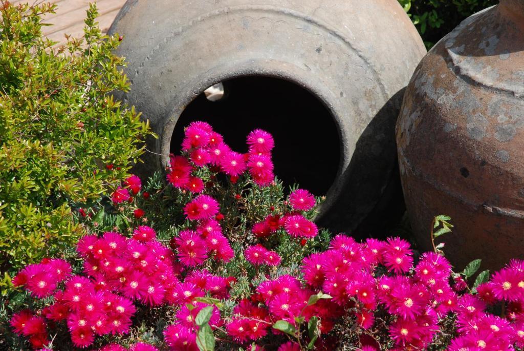 A Flor Da Rosa Hotel Crato Exterior photo